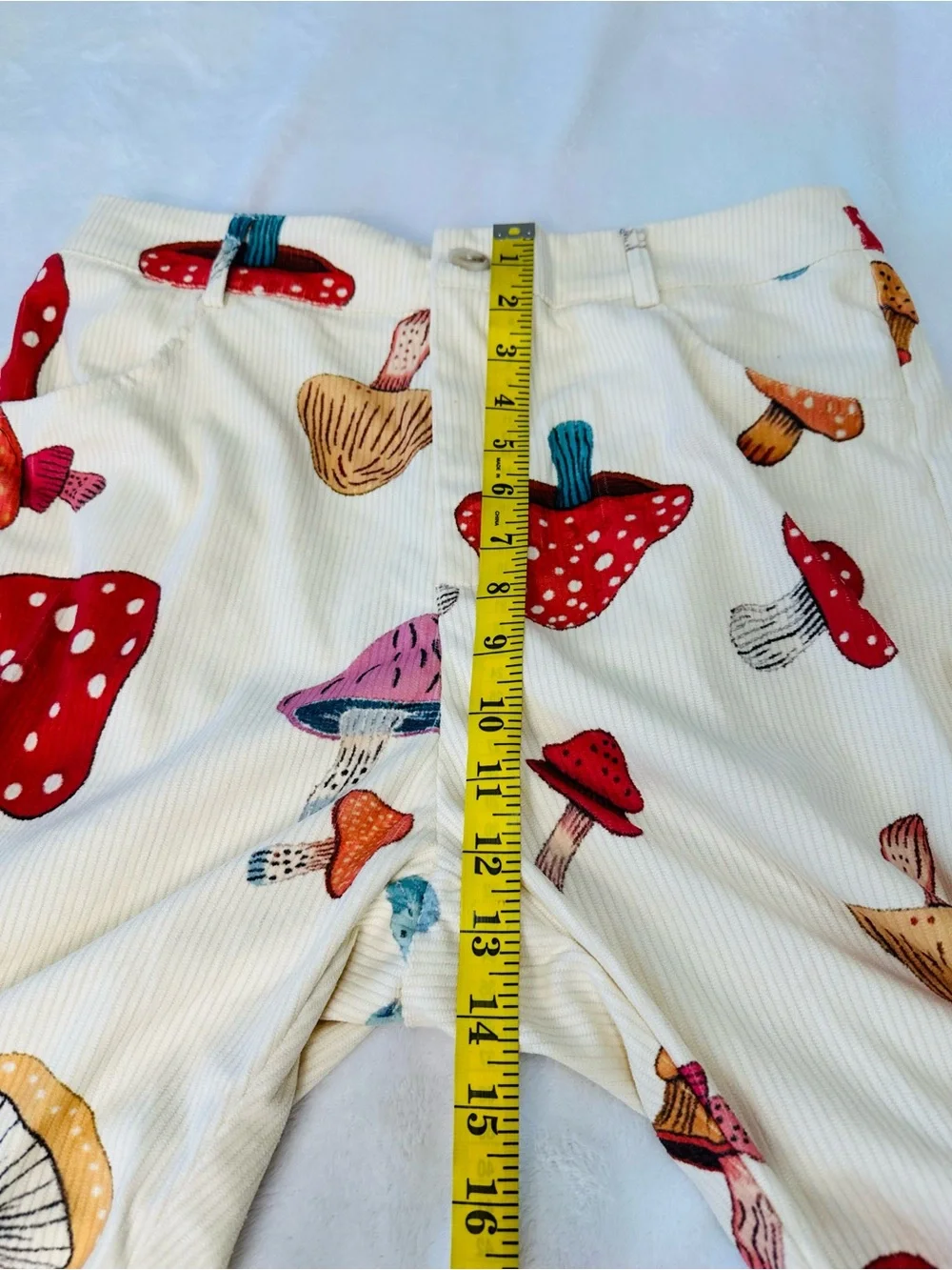 Cider Mushroom Print Corduroy Pants Size Large